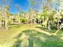 13893 Park Ave Ave, Conroe, Texas image 1