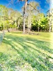 13893 Park Ave Ave, Conroe, Texas image 5