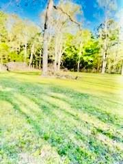 13893 Park Ave Ave, Conroe, Texas image 4