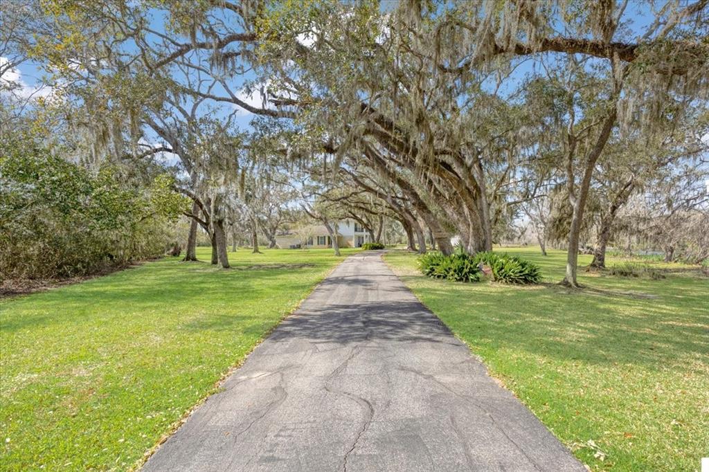 2015 Pecan Ln Ln, Lake Jackson, Texas image 4