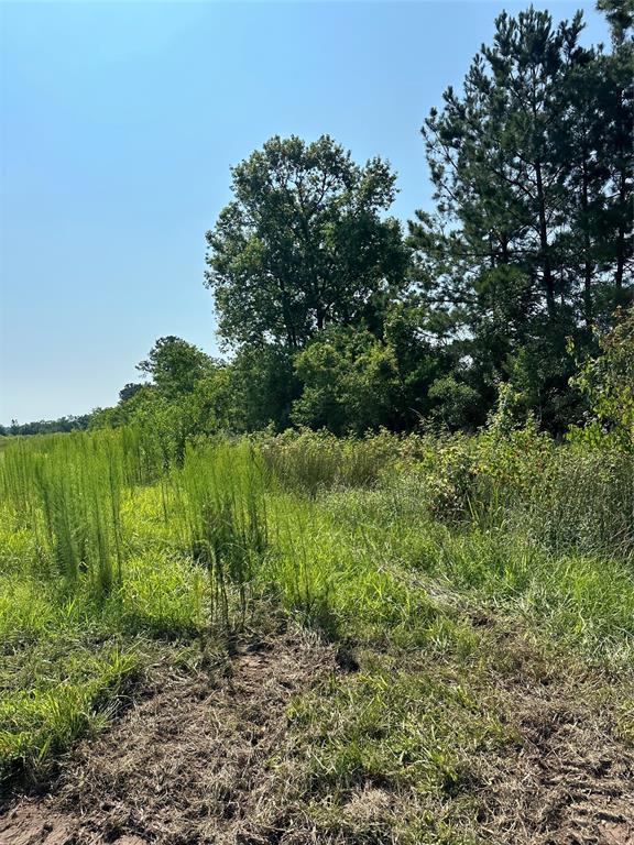 0013 Cr 2315, Dayton, Texas image 1