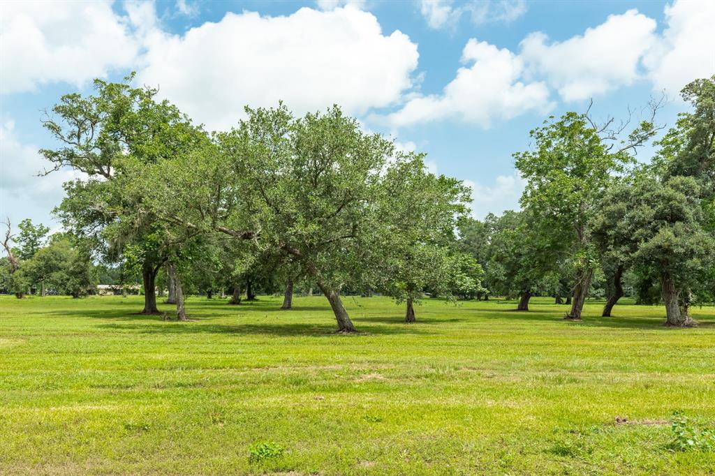315 Valley Oaks Drive