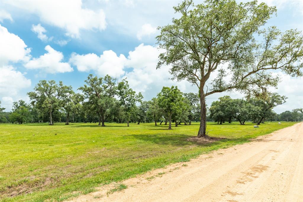 315 Valley Oaks Drive