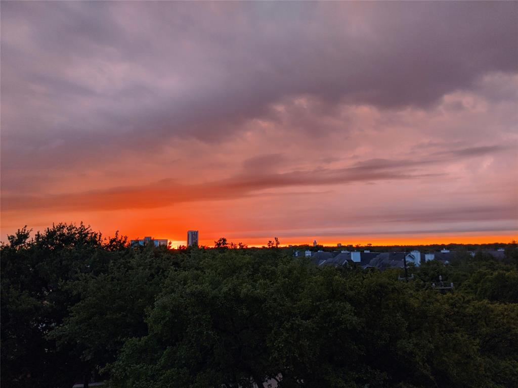 1111 Bering Drive 503