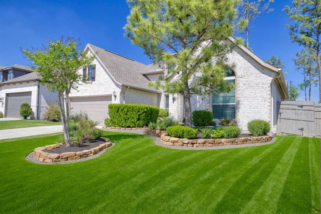17473 Chestnut Cove Drive, Conroe, Texas image 3