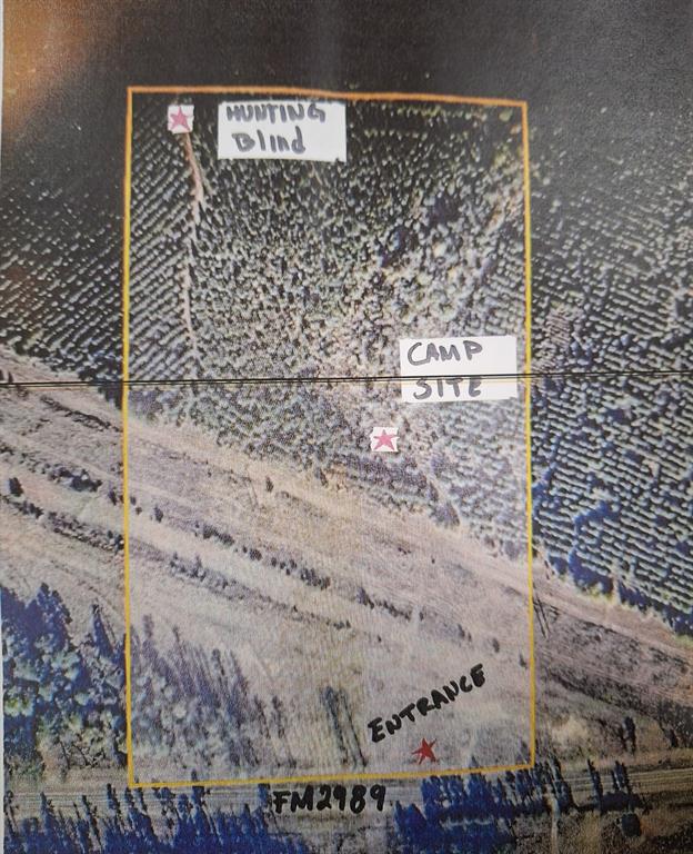 00000 Fm 2989, Midway, Texas image 11