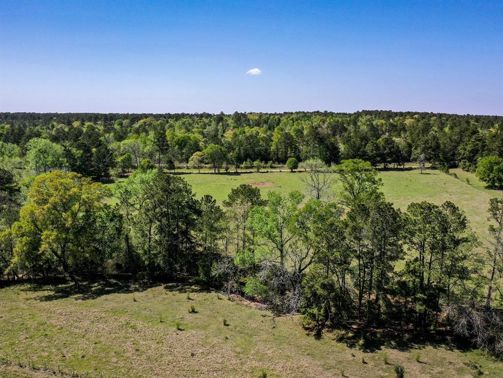 11 Acres Black Jack Rd, Huntsville, Texas image 17