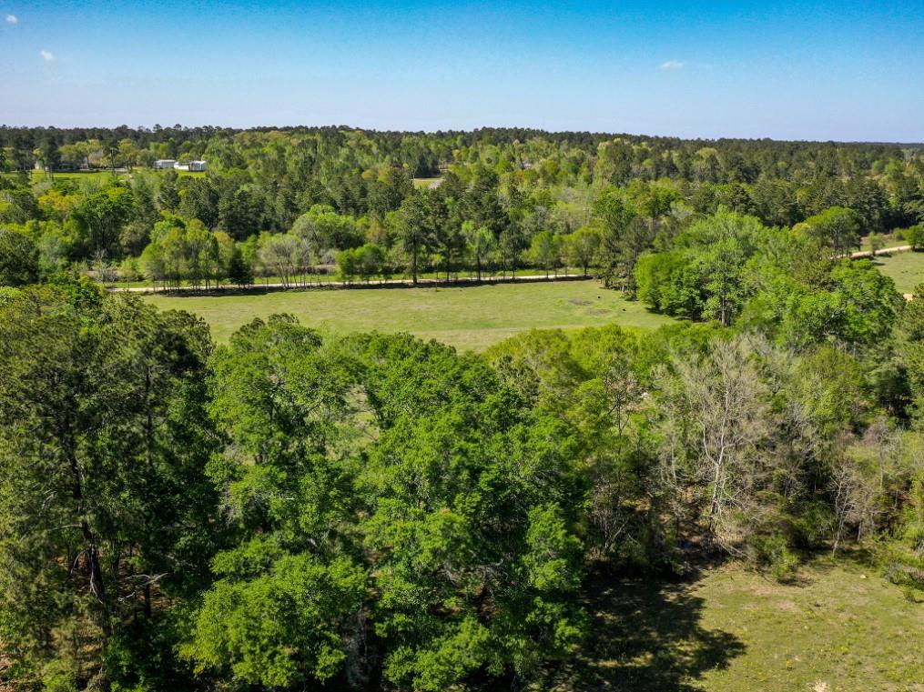 11 Acres Black Jack Rd, Huntsville, Texas image 13