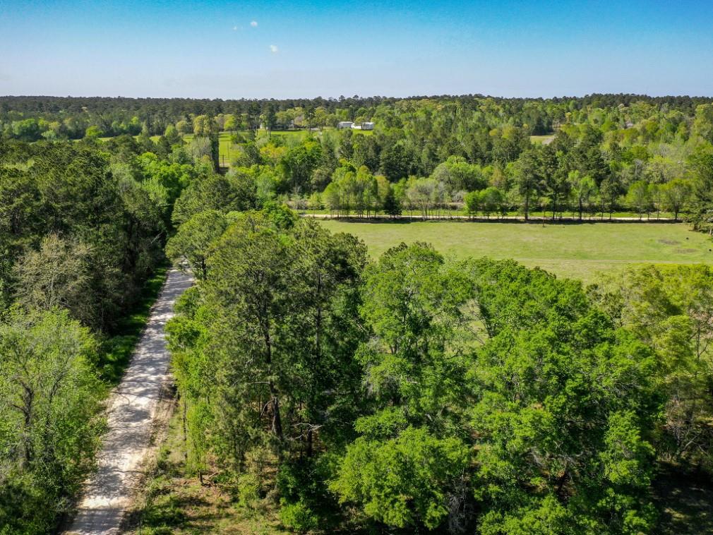 11 Acres Black Jack Rd, Huntsville, Texas image 7