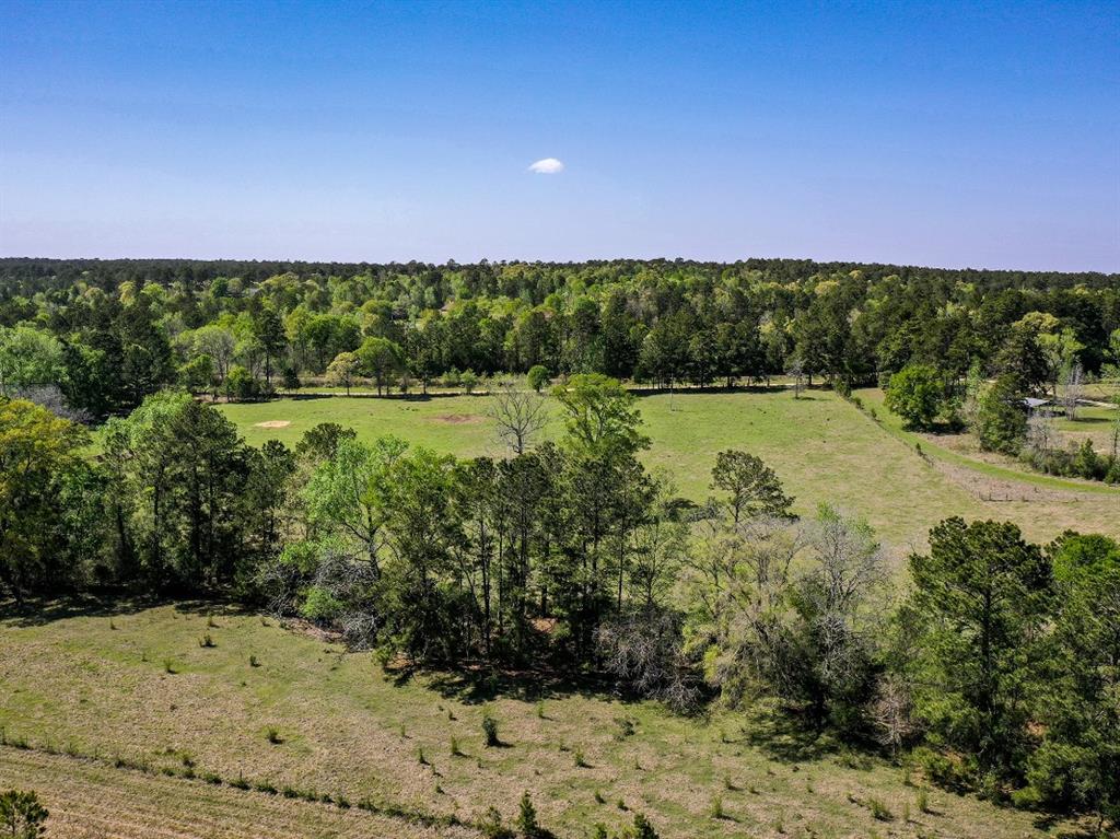 11 Acres Black Jack Rd, Huntsville, Texas image 16