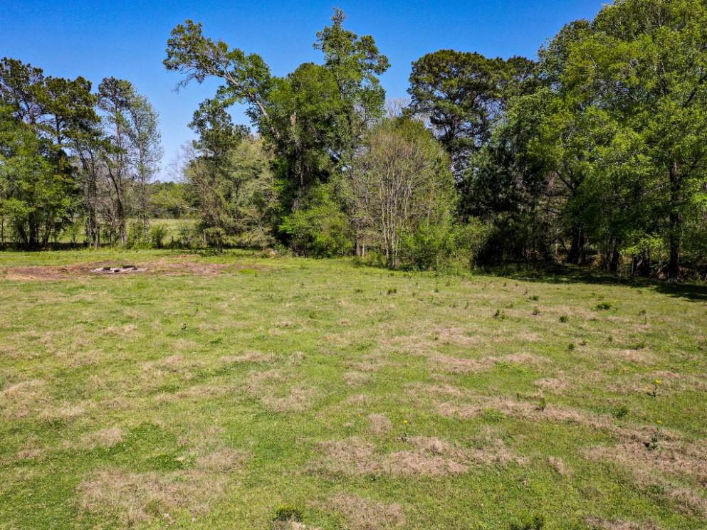 11 Acres Black Jack Rd, Huntsville, Texas image 6