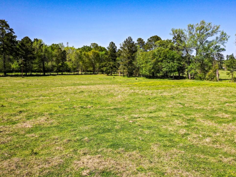 11 Acres Black Jack Rd, Huntsville, Texas image 8