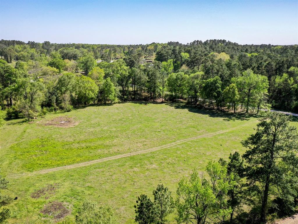 11 Acres Black Jack Rd, Huntsville, Texas image 12
