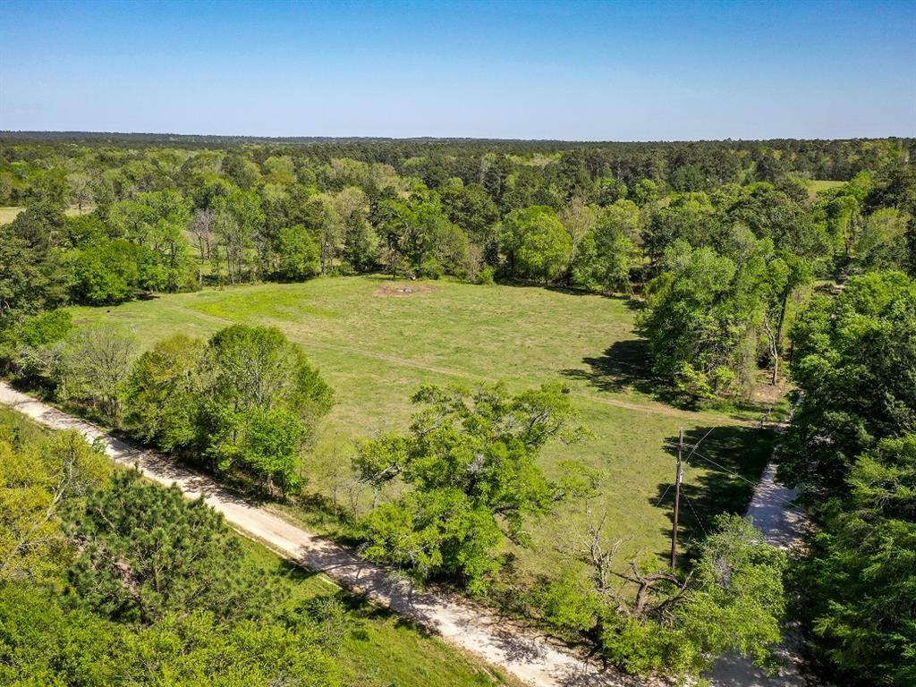 11 Acres Black Jack Rd, Huntsville, Texas image 1