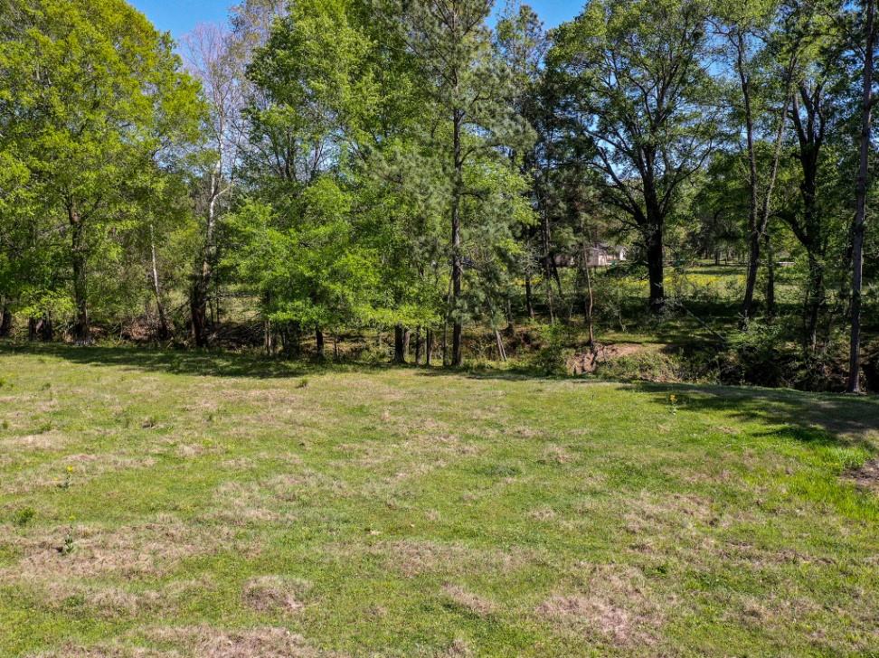 11 Acres Black Jack Rd, Huntsville, Texas image 5