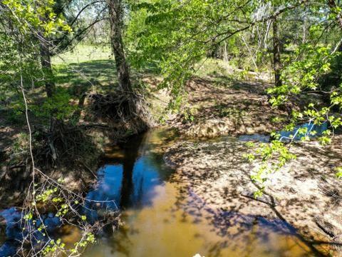 11 Acres Black Jack Rd, Huntsville, Texas image 14