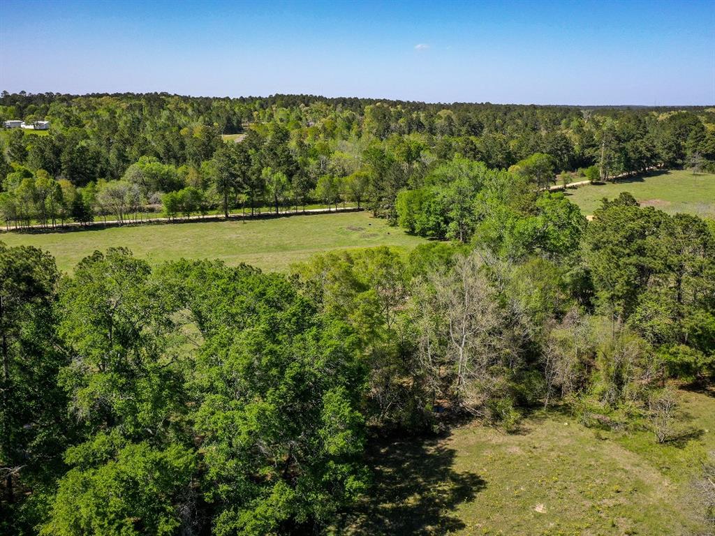 11 Acres Black Jack Rd, Huntsville, Texas image 10