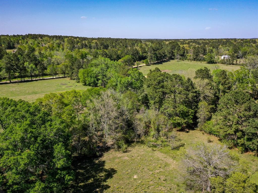 11 Acres Black Jack Rd, Huntsville, Texas image 11