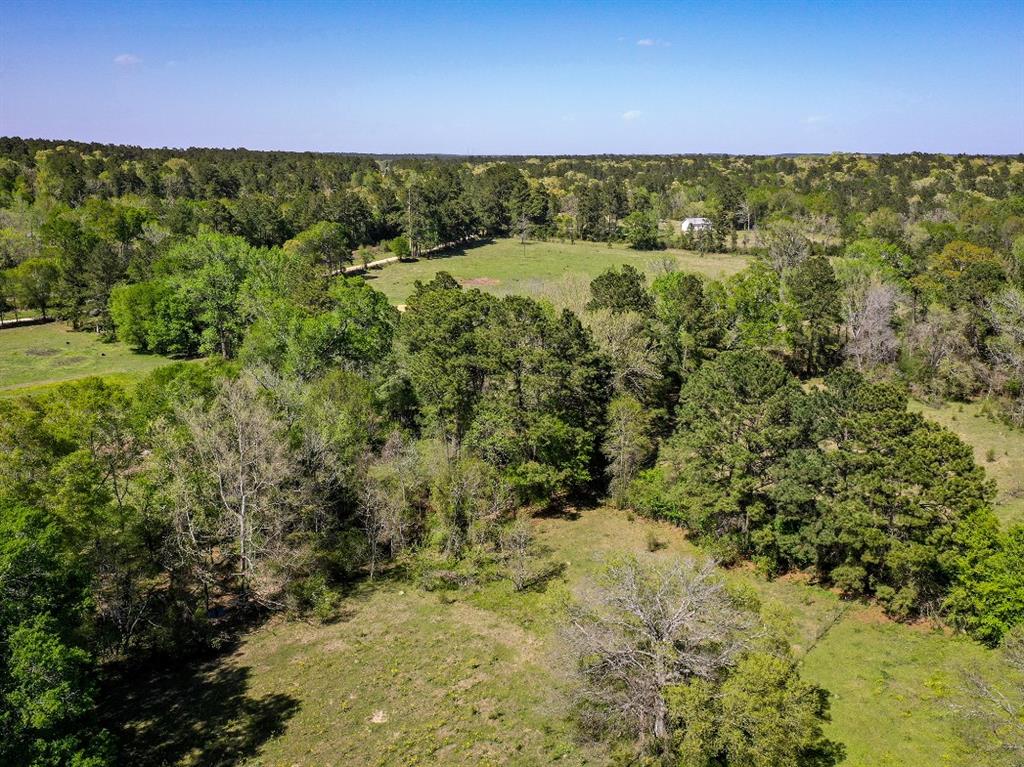 11 Acres Black Jack Rd, Huntsville, Texas image 9