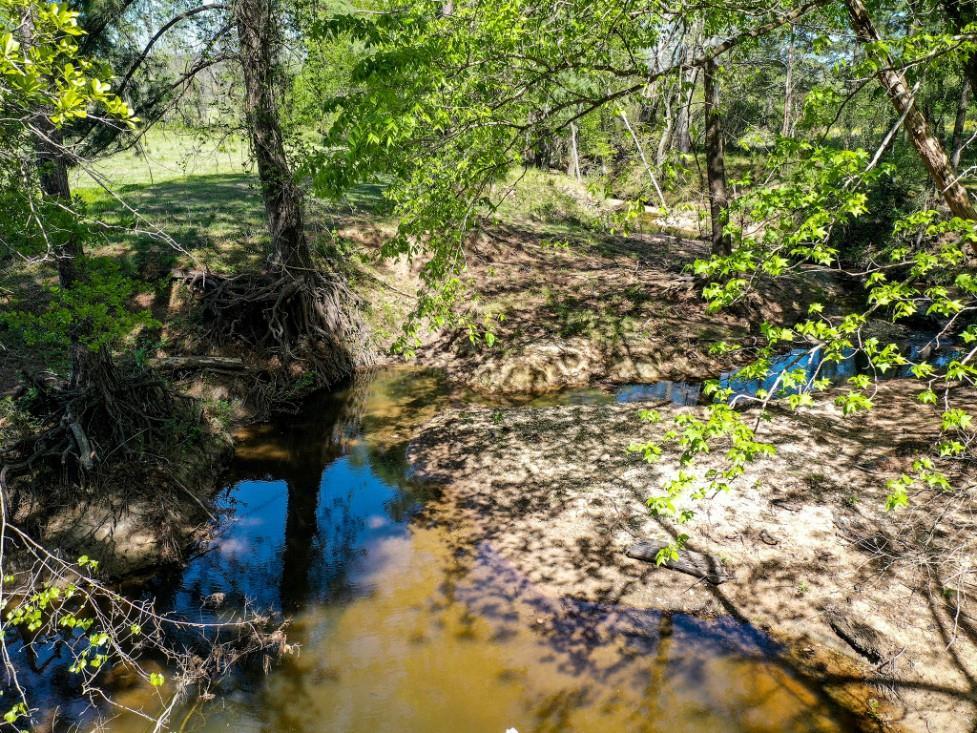 11 Acres Black Jack Rd, Huntsville, Texas image 3