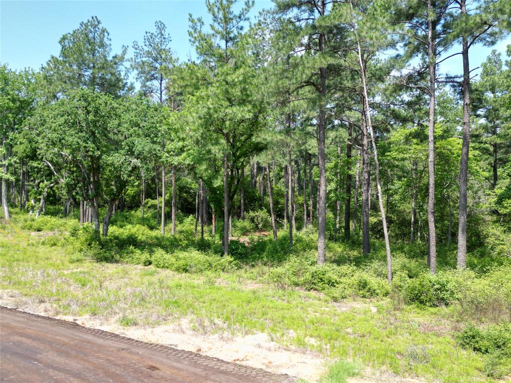 000 Pr 1314, Centerville, Texas image 12