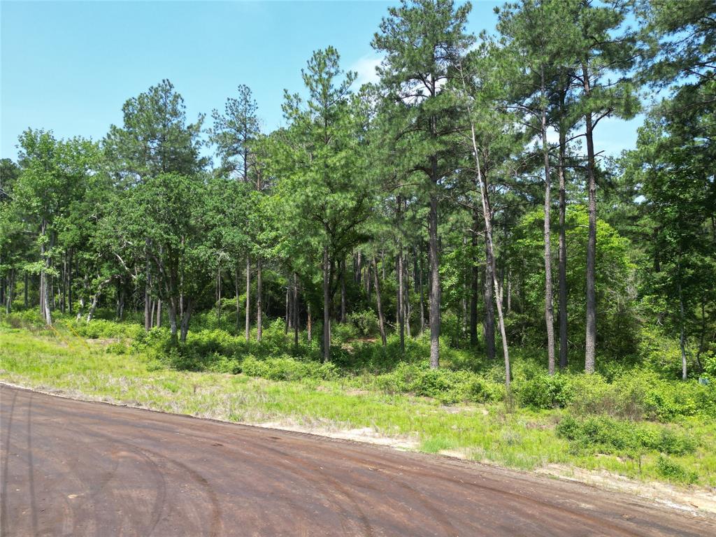 000 Pr 1314, Centerville, Texas image 13