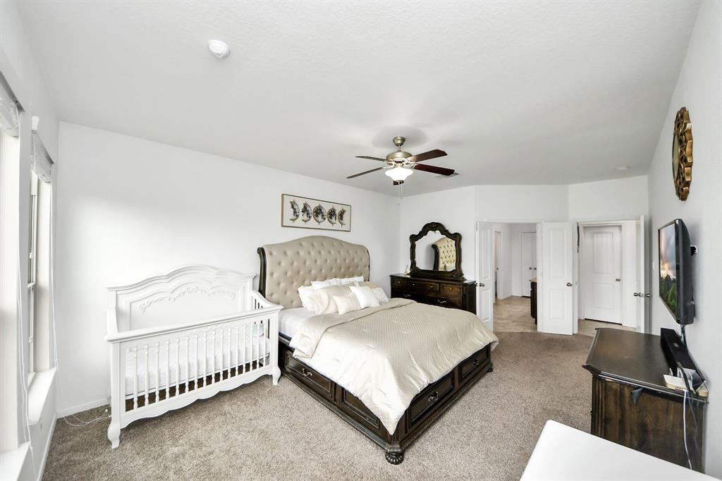 3822 Daintree Park Drive, Katy, Texas image 11