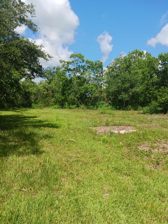 1914 1st Street, Liverpool, Texas image 17