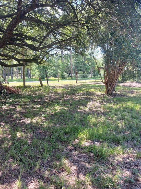 1914 1st Street, Liverpool, Texas image 10