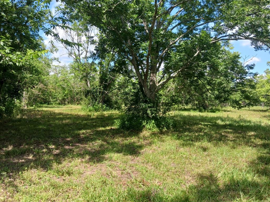 1914 1st Street, Liverpool, Texas image 12