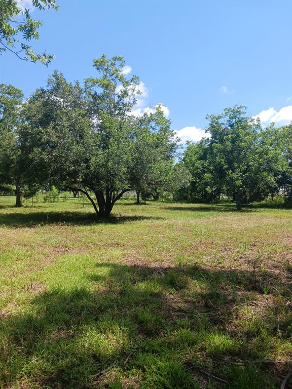 1914 1st Street, Liverpool, Texas image 16