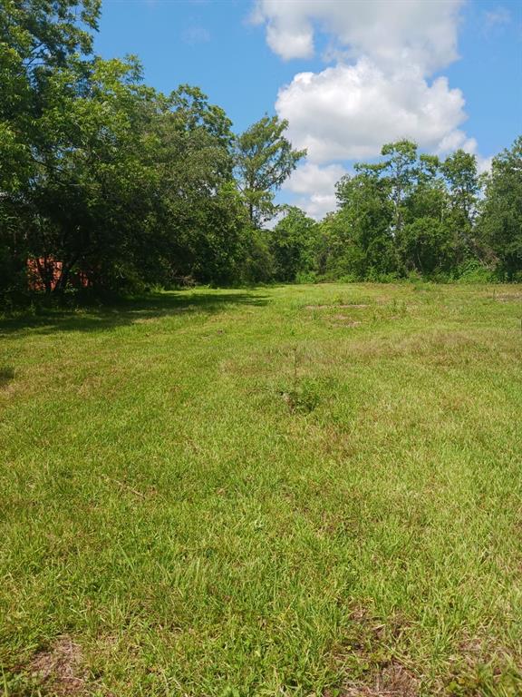 1914 1st Street, Liverpool, Texas image 18