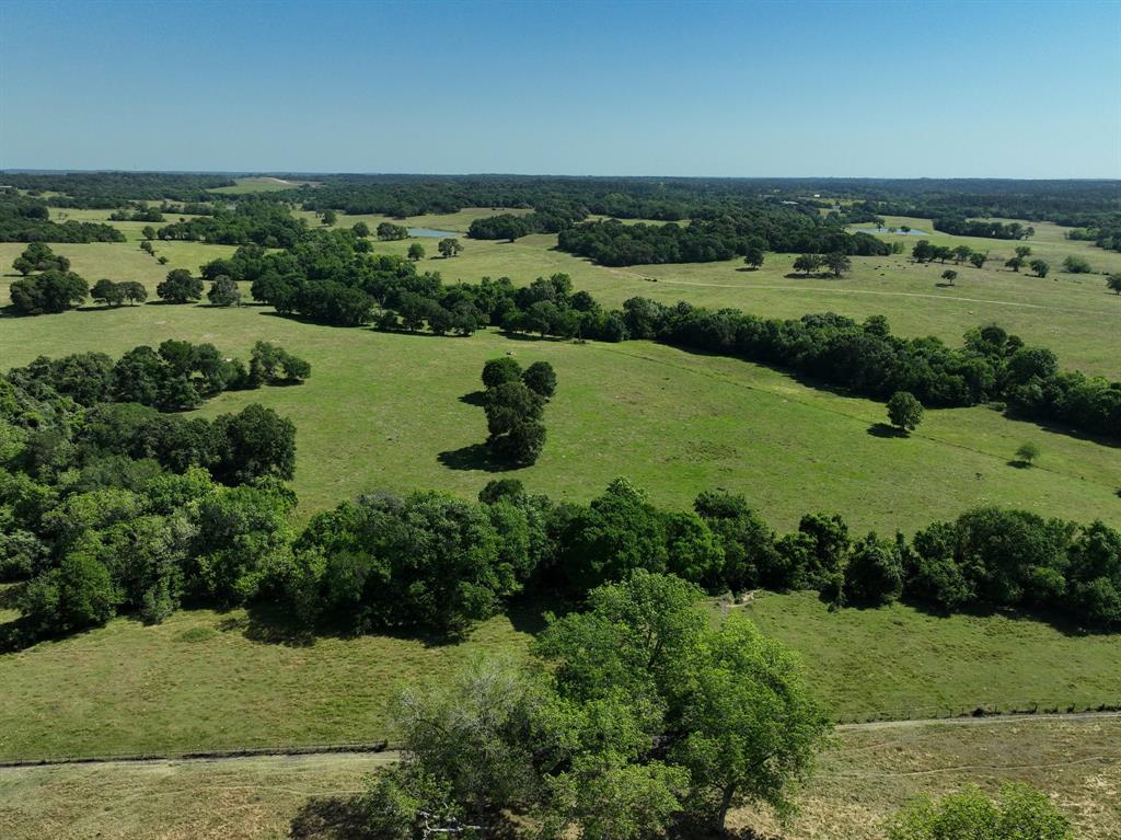 00006 Cr 305 Road, Navasota, Texas image 5