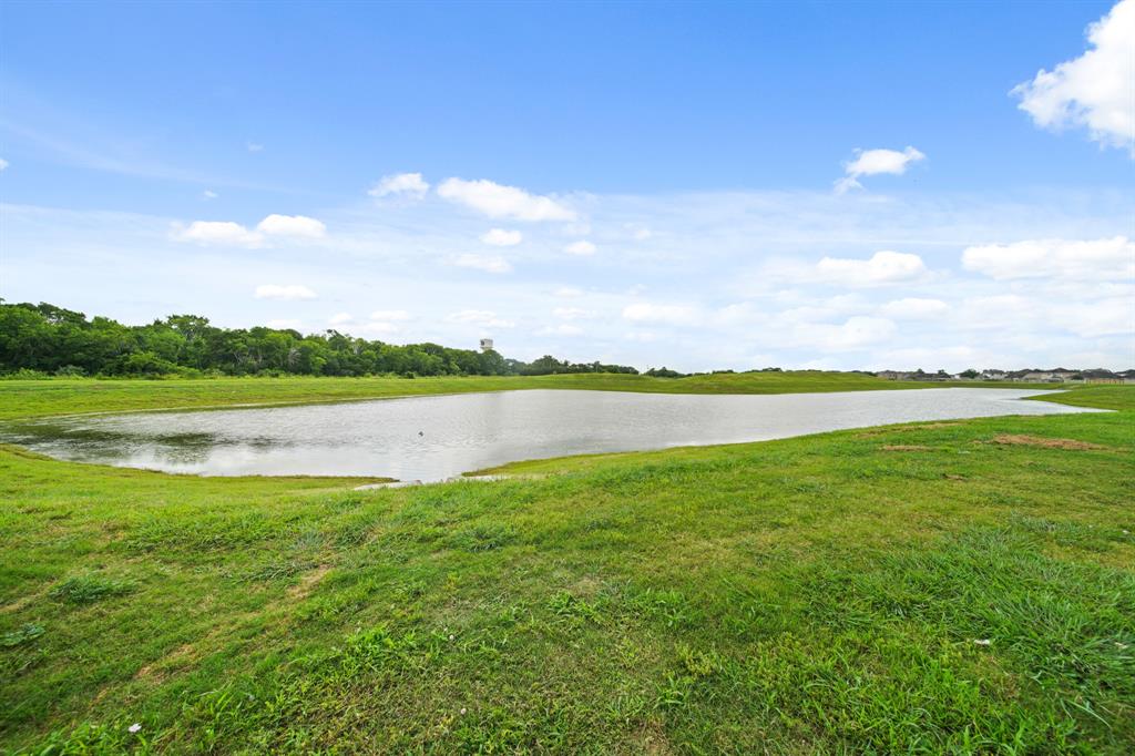 1174 Filly Creek Drive, Alvin, Texas image 25