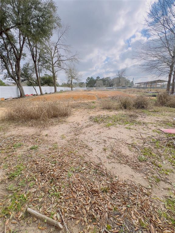 619 Ezekiel Smith Street, Prairie View, Texas image 1