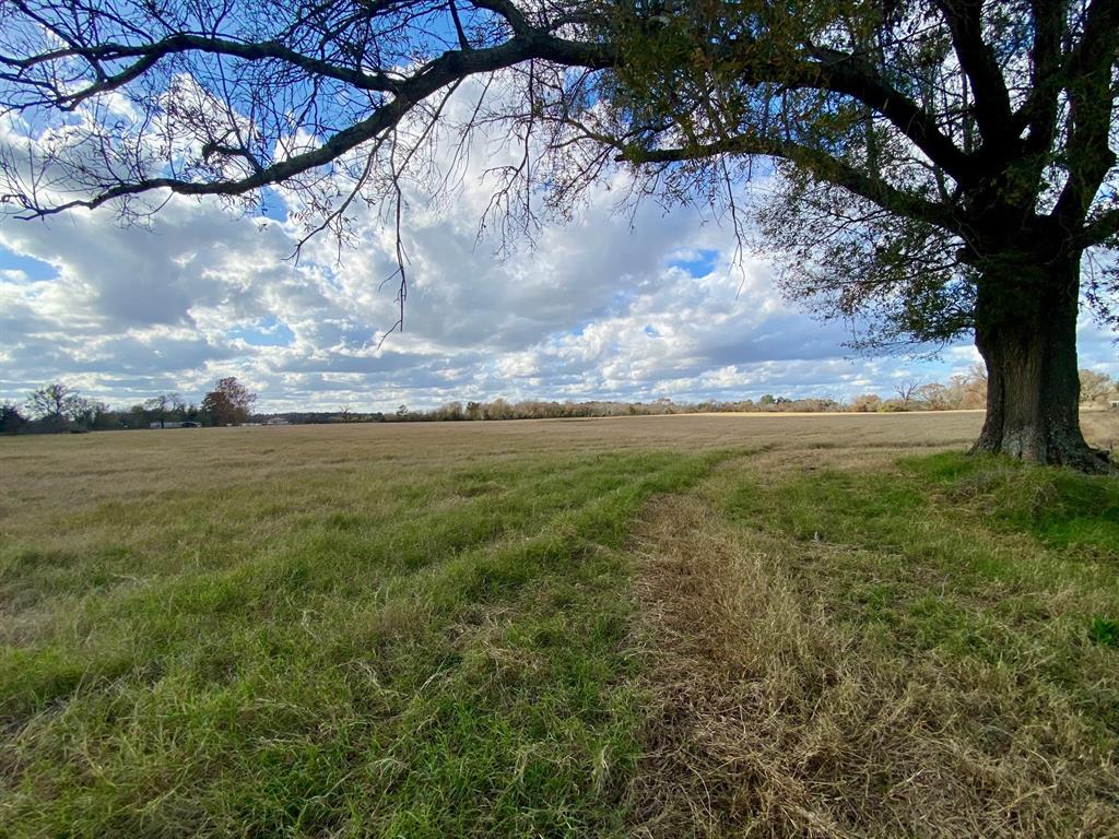 T B D Cr 3095/cooper Settlement Road, Crockett, Texas image 6