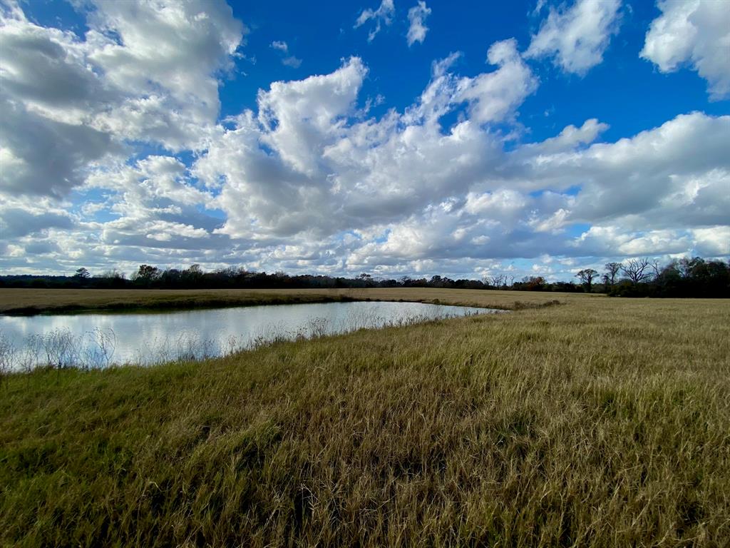 T B D Cr 3095/cooper Settlement Road, Crockett, Texas image 3