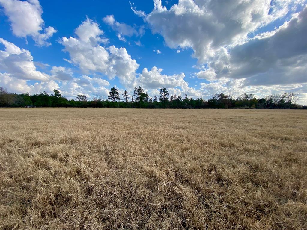 T B D Cr 3095/cooper Settlement Road, Crockett, Texas image 11