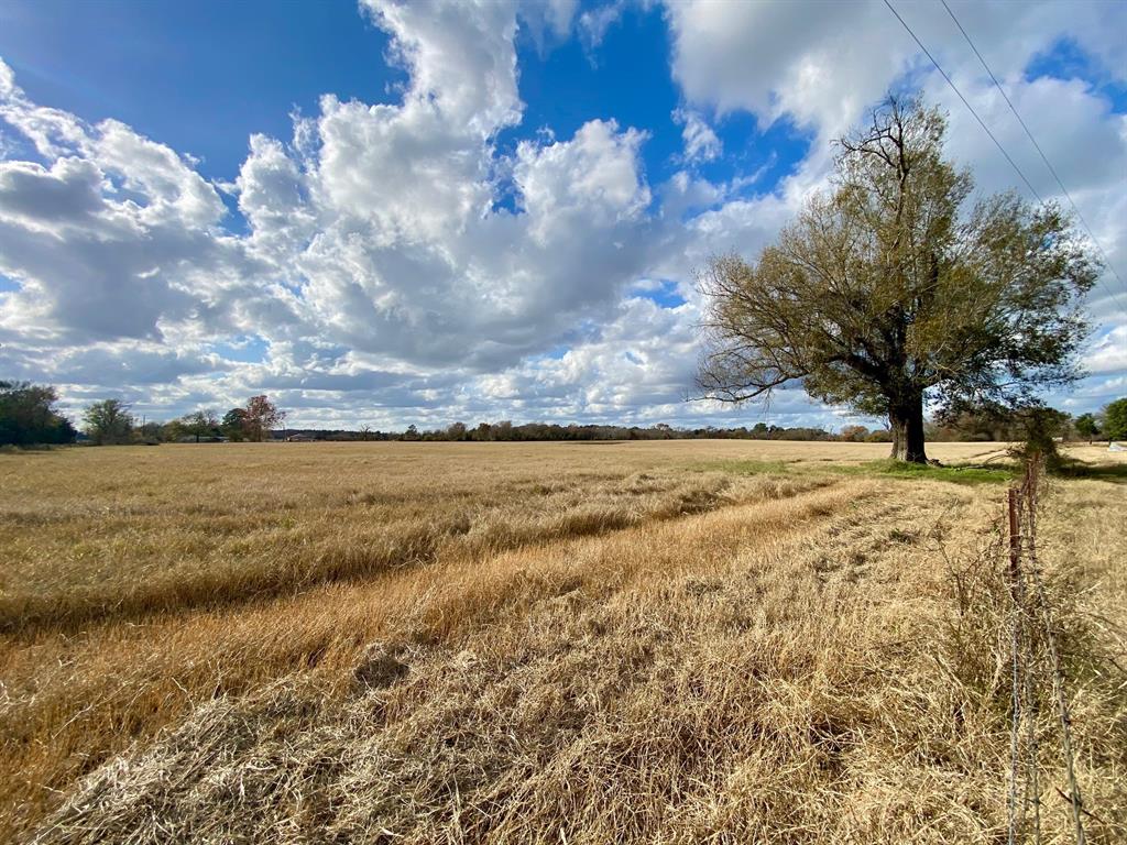 T B D Cr 3095/cooper Settlement Road, Crockett, Texas image 4