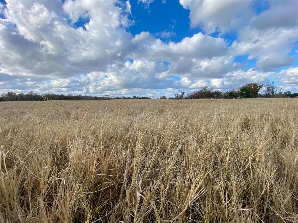 T B D Cr 3095/cooper Settlement Road, Crockett, Texas image 10