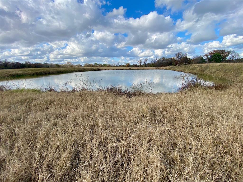 T B D Cr 3095/cooper Settlement Road, Crockett, Texas image 2