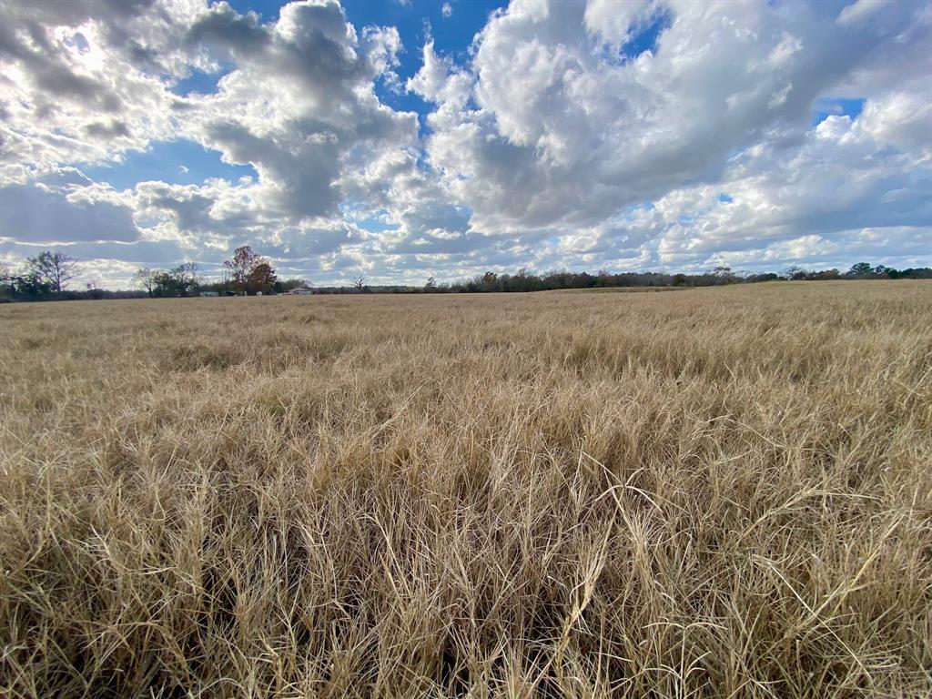 T B D Cr 3095/cooper Settlement Road, Crockett, Texas image 9