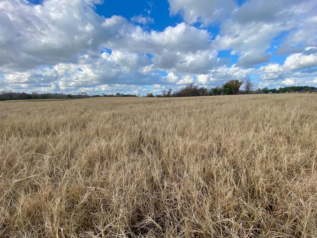 T B D Cr 3095/cooper Settlement Road, Crockett, Texas image 8