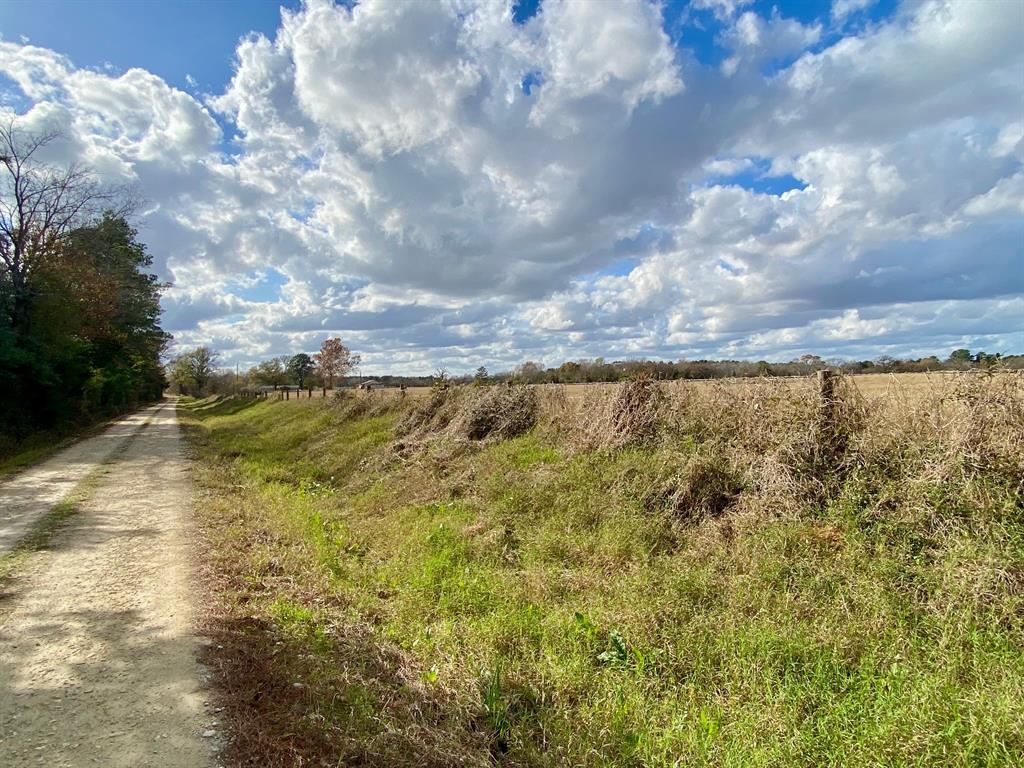 T B D Cr 3095/cooper Settlement Road, Crockett, Texas image 12