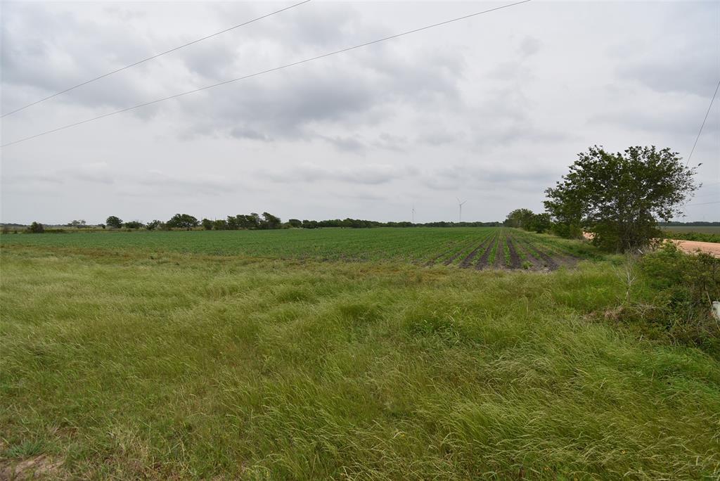 000 Fm 1162, El Campo, Texas image 6