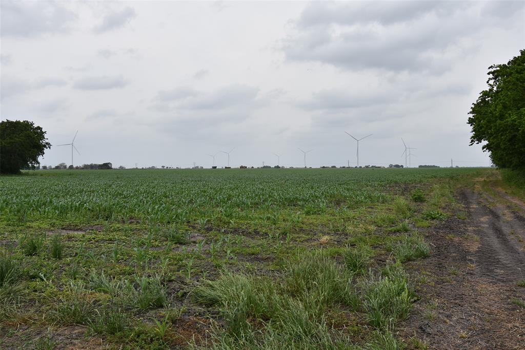 000 Fm 1162, El Campo, Texas image 10