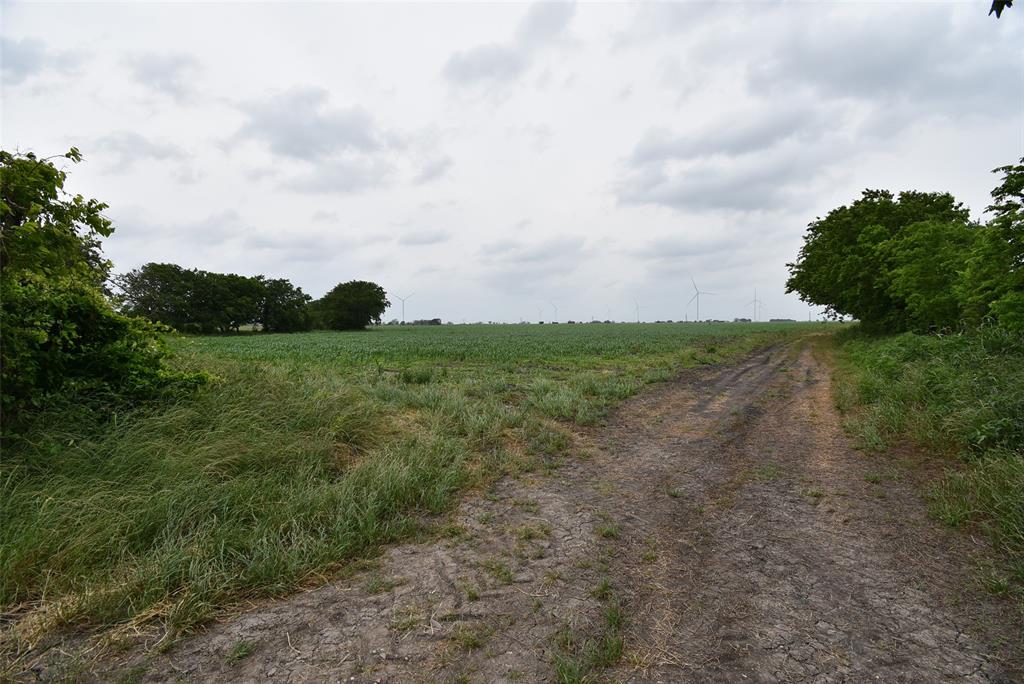 000 Fm 1162, El Campo, Texas image 7