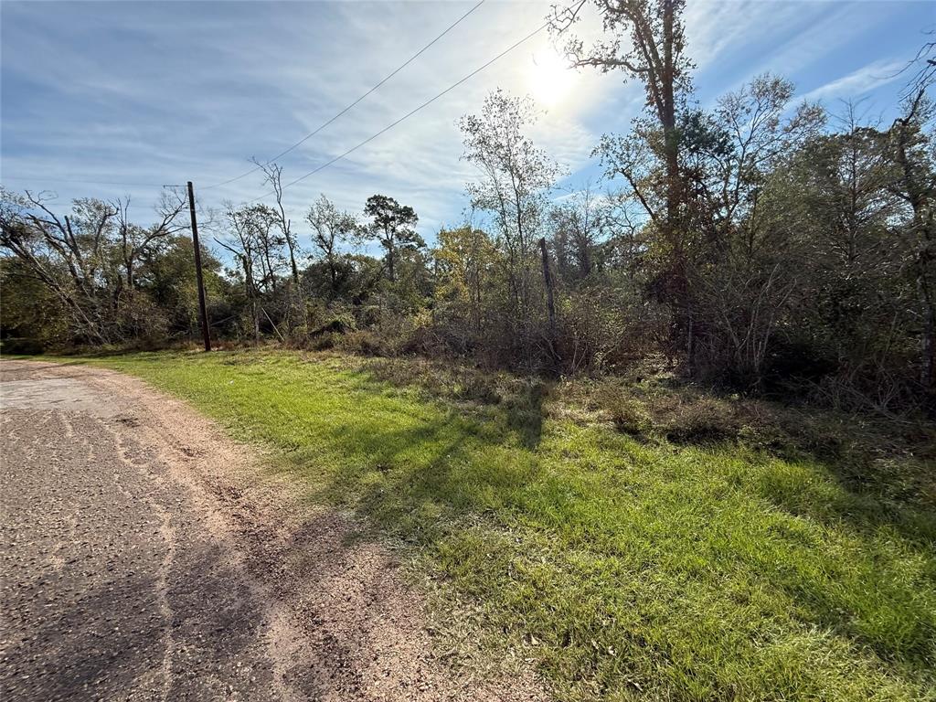 Lot 2 Block 51, Hempstead, Texas image 4