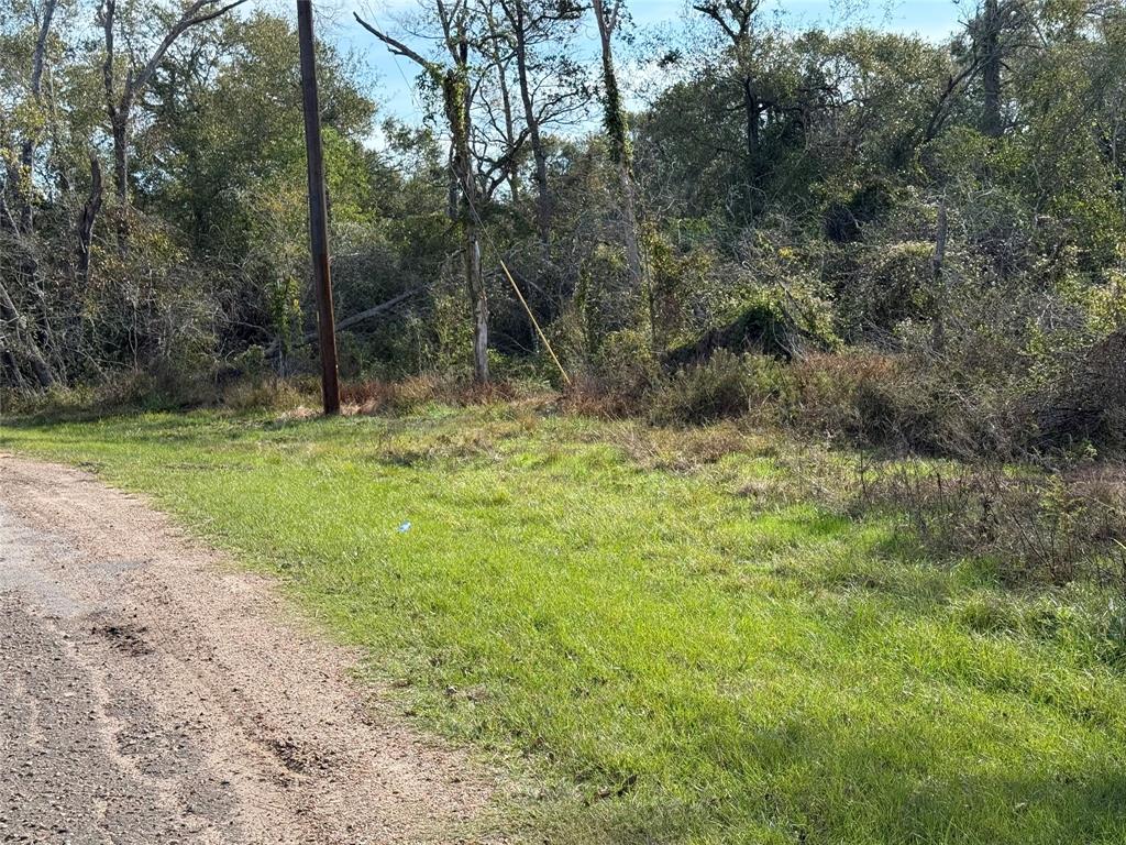 Lot 2 Block 51, Hempstead, Texas image 5