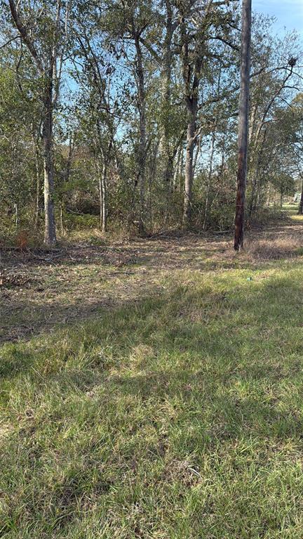 Lot 2 Block 51, Hempstead, Texas image 1